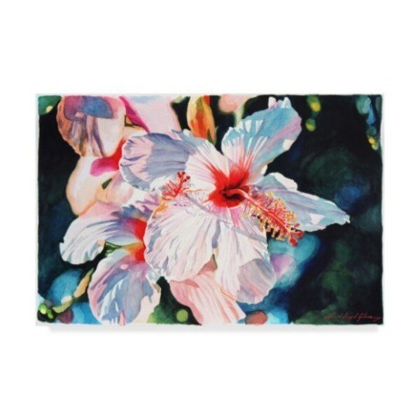 David Lloyd Glover 'Hawaiian Hibiscus' Canvas Art, 22x32, Trademark Fine Art, Mfr#: DLG00392-C2232GG